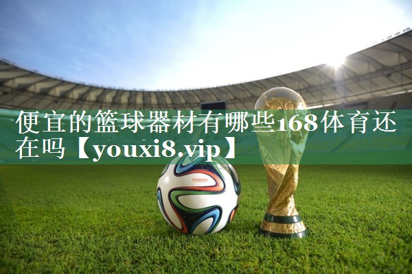 便宜的篮球器材有哪些168体育还在吗