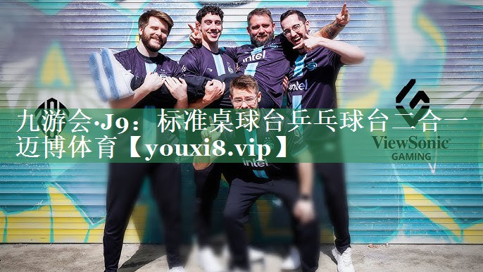 九游会·J9：标准桌球台乒乓球台二合一迈博体育