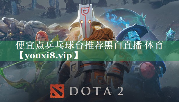 便宜点乒乓球台推荐黑白直播 体育