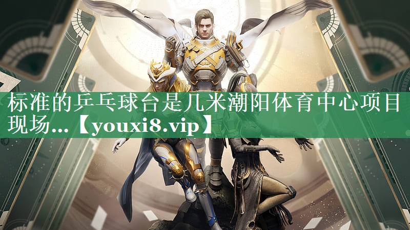标准的乒乓球台是几米潮阳体育中心项目现场…