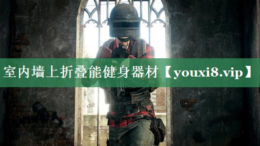 室内墙上折叠能健身器材
