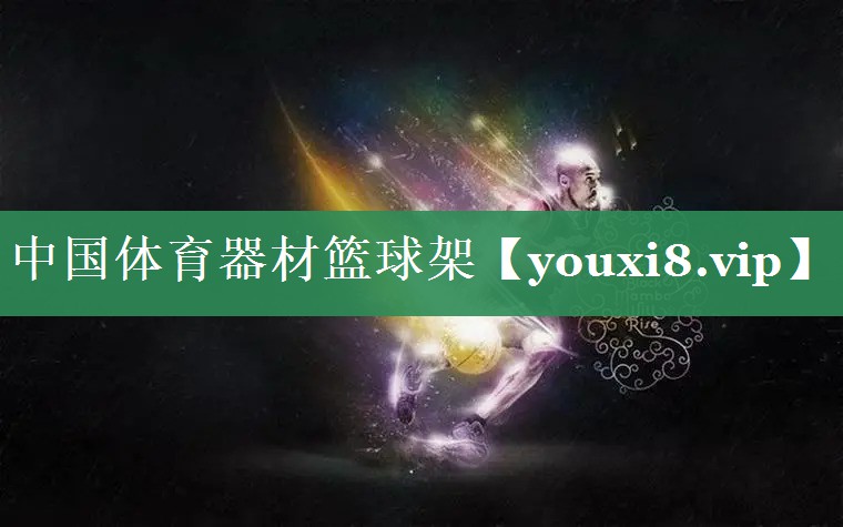 中国体育器材篮球架