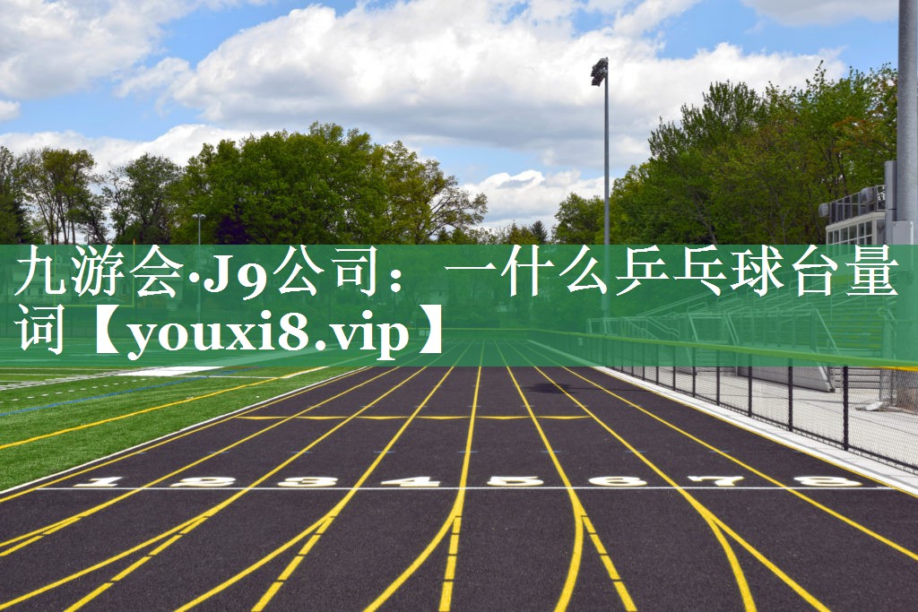 一什么乒乓球台量词