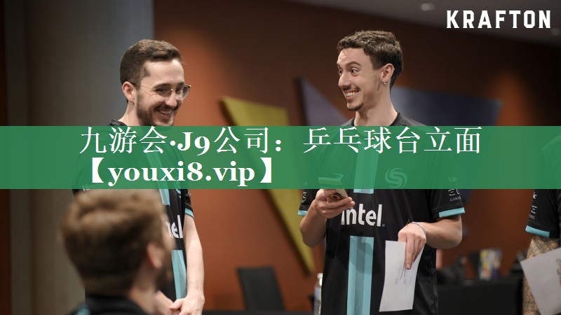 乒乓球台立面